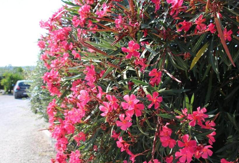 B&b Sogni D Oro Milena