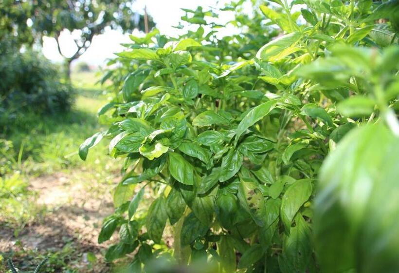 B&b Sogni D Oro Milena