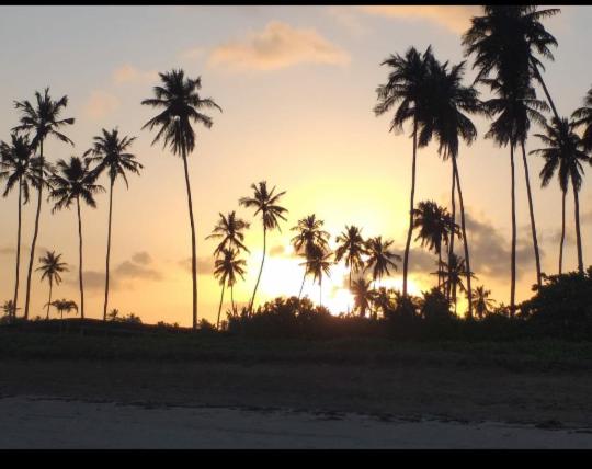 پانسیون Flores Do Riacho Suítes