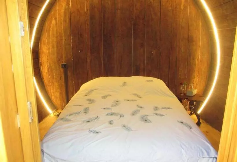 Aamiaismajoitus (B&B) Foudres Du Chêne Du Py