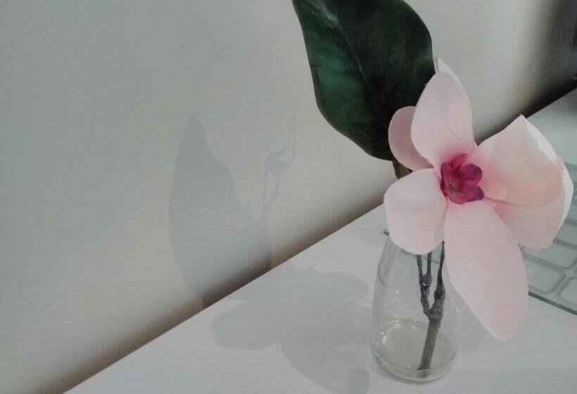 Pansiyon Windermere Studio Rooms With Free Car Parking Onsite