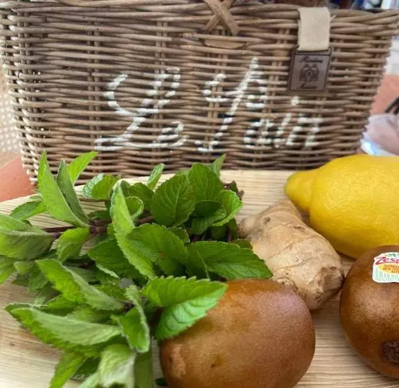 Aamiaismajoitus (B&B) De Vijverkamer     Privé Diner Op De Kamer Mogelijk!!