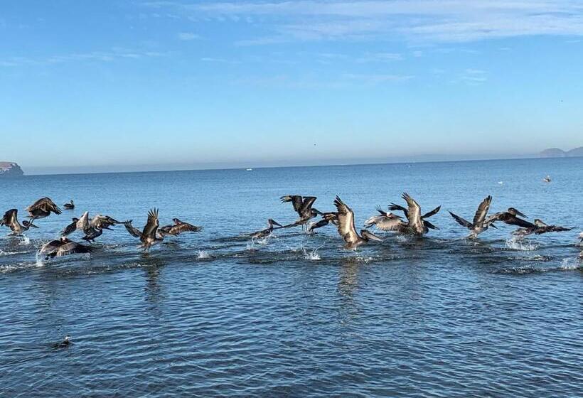 בית מלון כפרי Condominios San Carlos