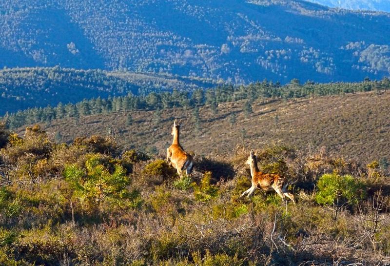 膳宿费 Quinta Do Viso Alojamento Local