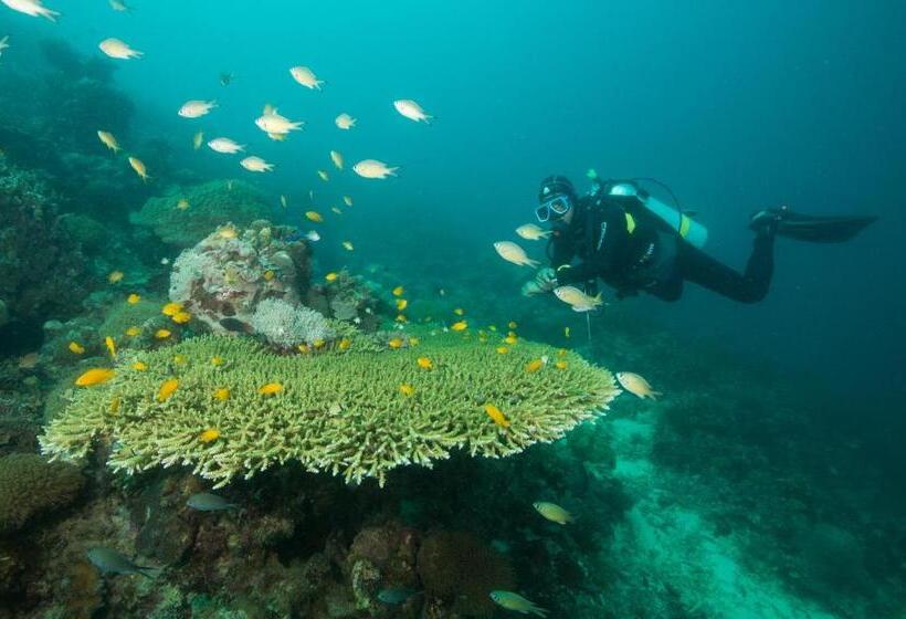 Magic Oceans Dive Resort