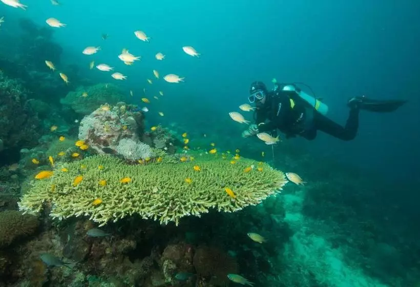 Magic Oceans Dive Resort