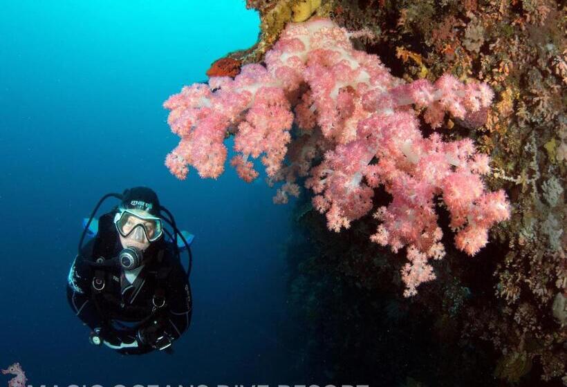 Magic Oceans Dive Resort