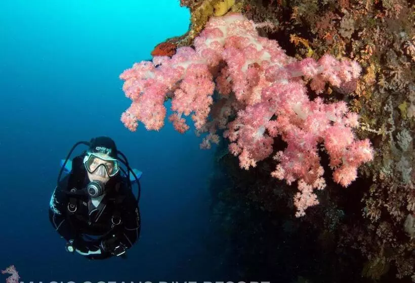 Magic Oceans Dive Resort