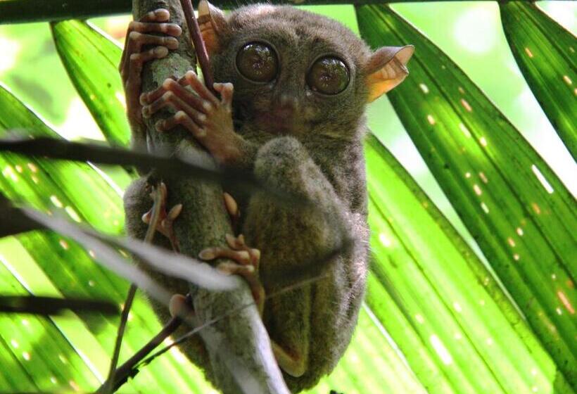 Magic Oceans Dive Resort