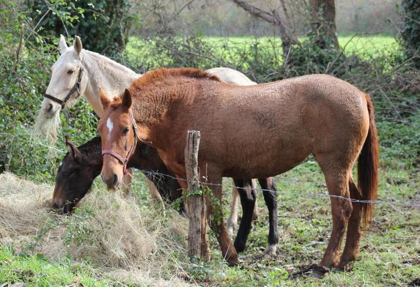 پانسیون A Casa Da Ti Laura Al