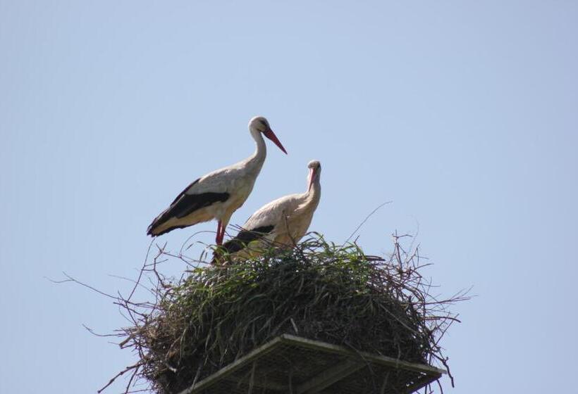 پانسیون A Casa Da Ti Laura Al