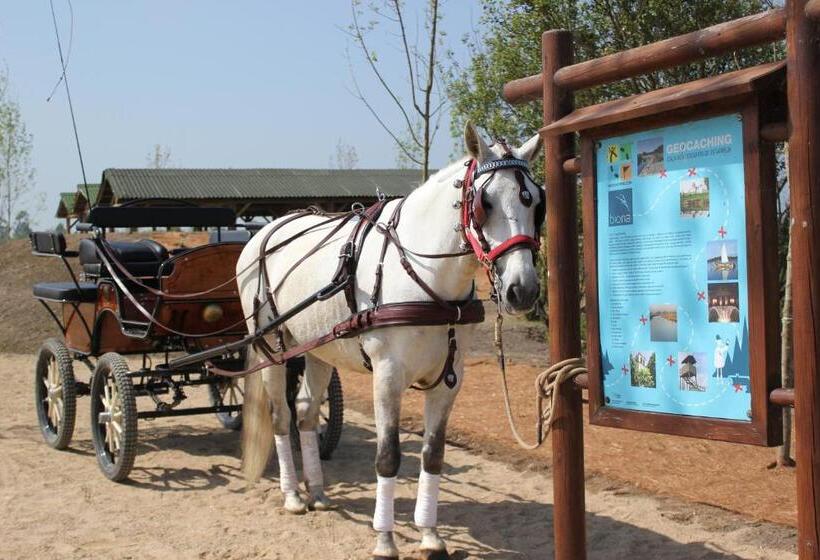 پانسیون A Casa Da Ti Laura Al