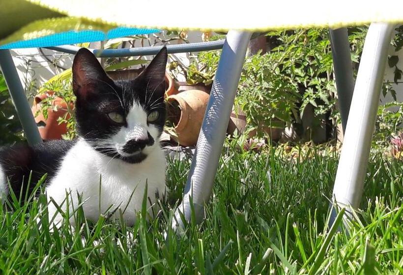 پانسیون A Casa Da Ti Laura Al