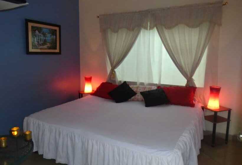 Hotel Jeshua Simmonds