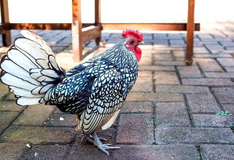 ホテル Kleinkaap Boutique