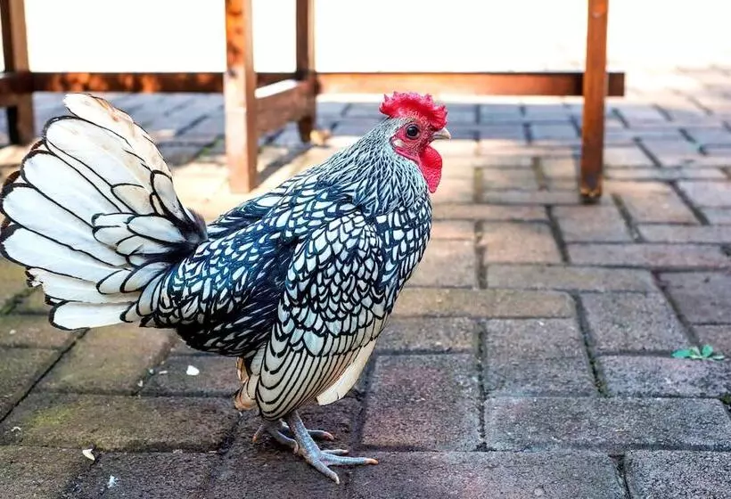 호텔 Kleinkaap Boutique