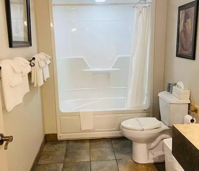 ホテル Le Montagnard – Auberge/hôtel & Chalets