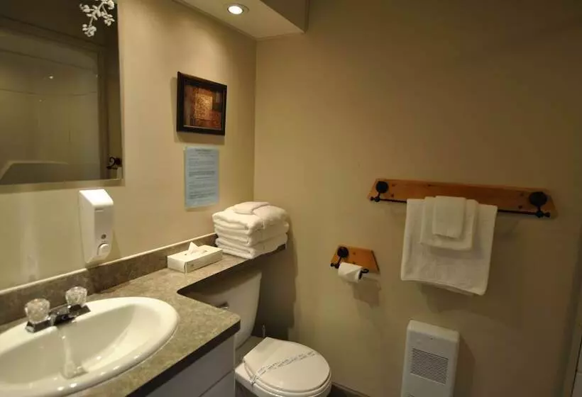 ホテル Le Montagnard – Auberge/hôtel & Chalets