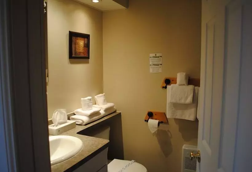 ホテル Le Montagnard – Auberge/hôtel & Chalets