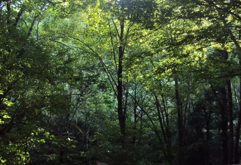 ホテル Locanda Dei Baroni   Antica Dimora