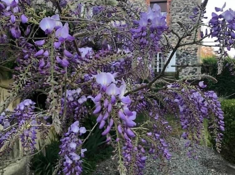 בית מלון כפרי Logis Auberge De L'ombrée