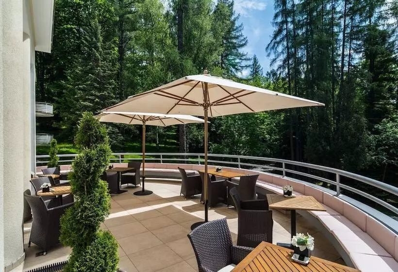 Hotel Modrzewie Park