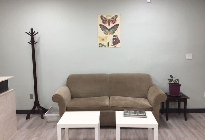 בית מלון כפרי Mountain Hound Inn