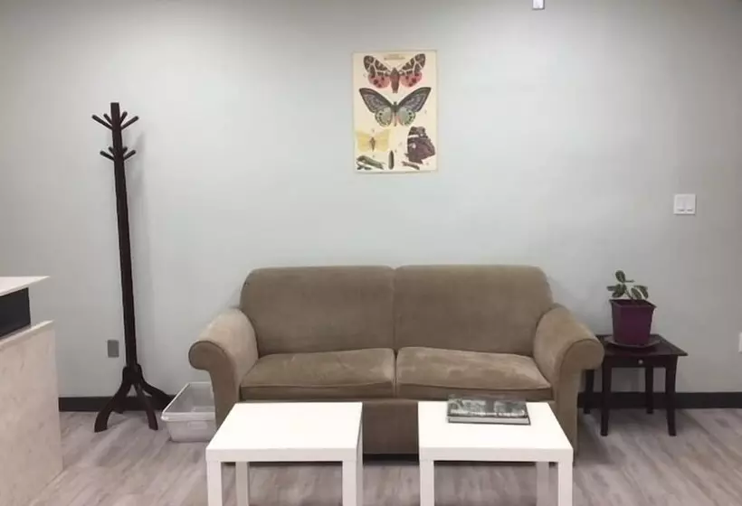 فندق Mountain Hound Inn