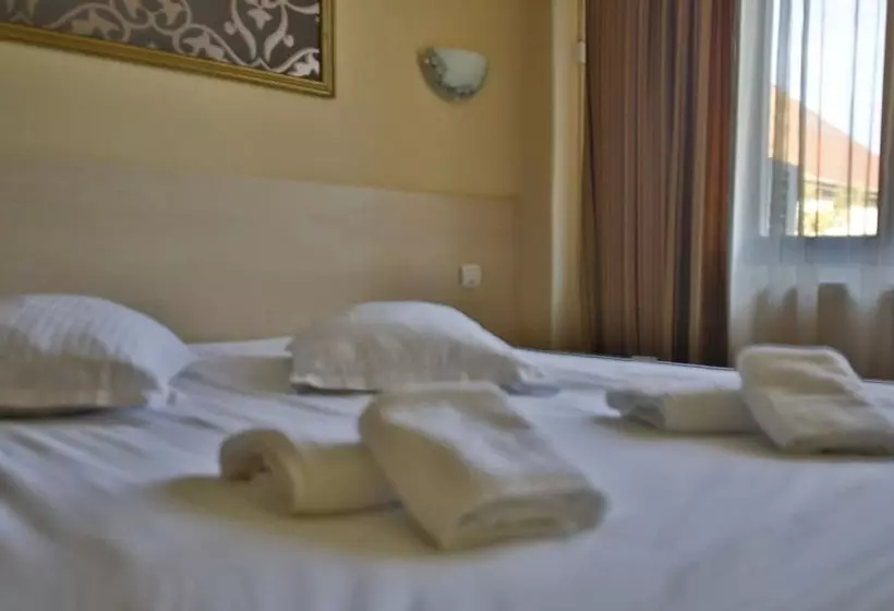 酒店 Pensiunea Vidalis