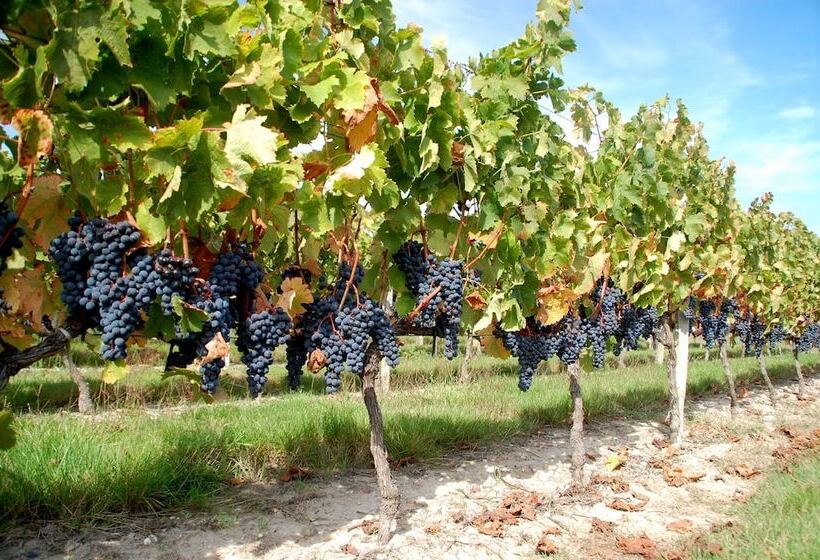 בית מלון כפרי Rollan De By