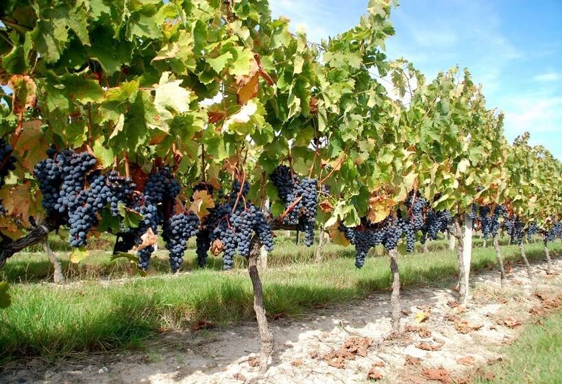 בית מלון כפרי Rollan De By