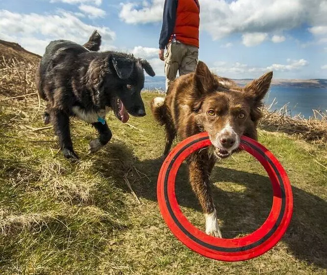 ホテル The Douglas