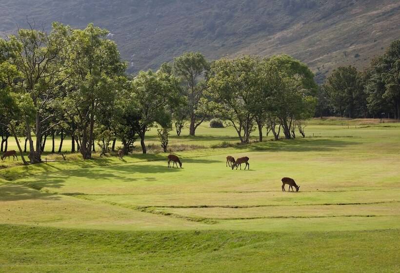 فندق The Douglas