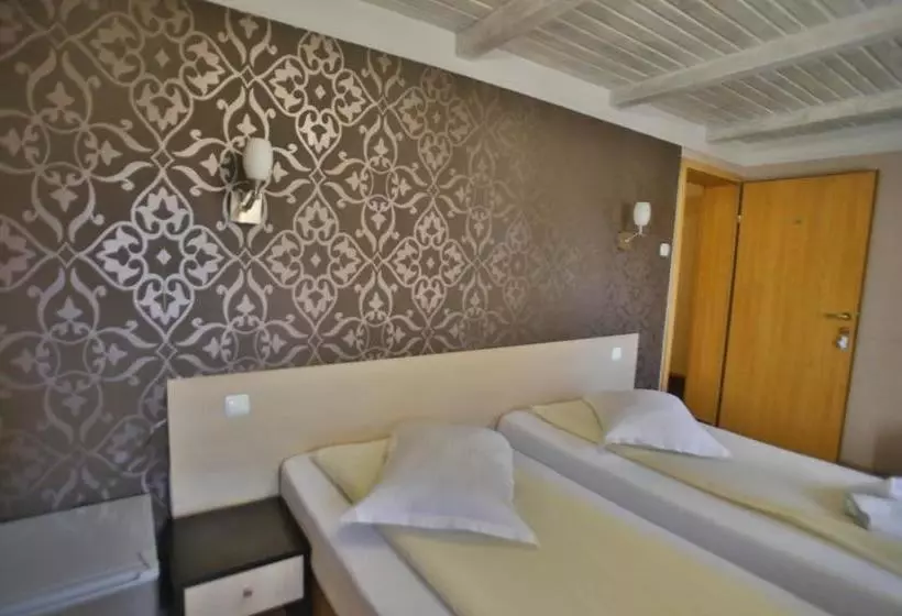 酒店 Pensiunea Vidalis