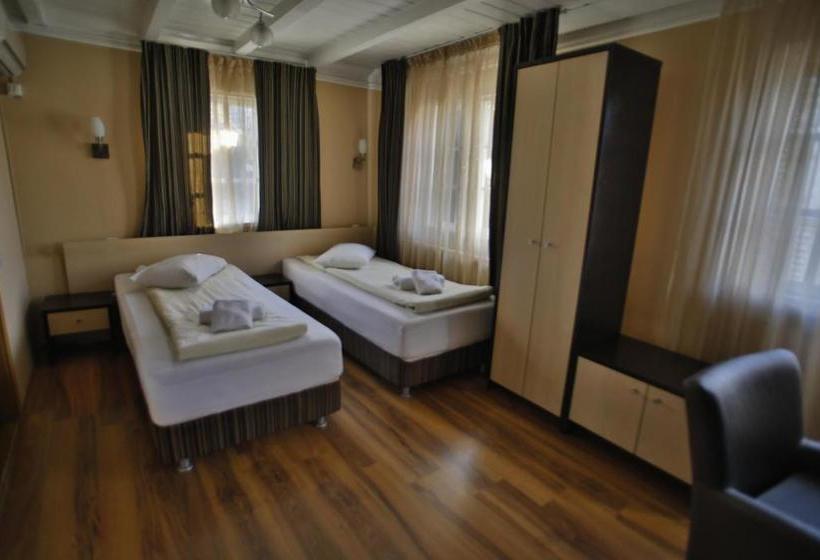 هتل Pensiunea Vidalis