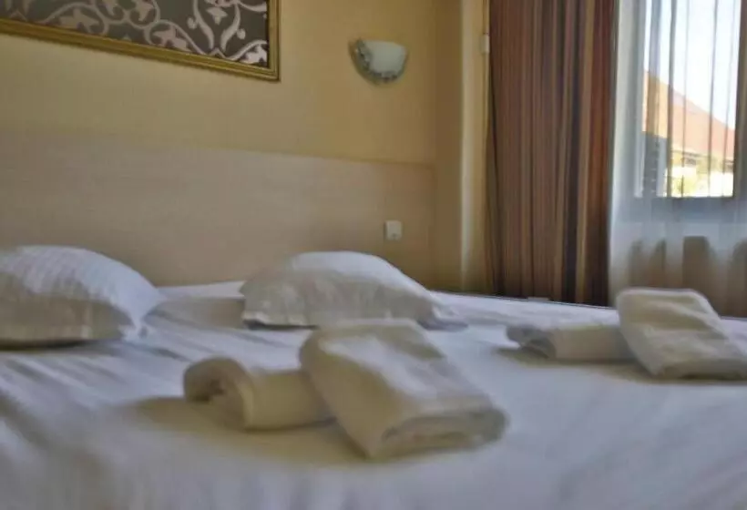 酒店 Pensiunea Vidalis