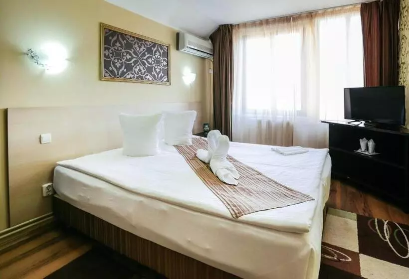 酒店 Pensiunea Vidalis