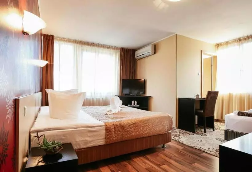 酒店 Pensiunea Vidalis