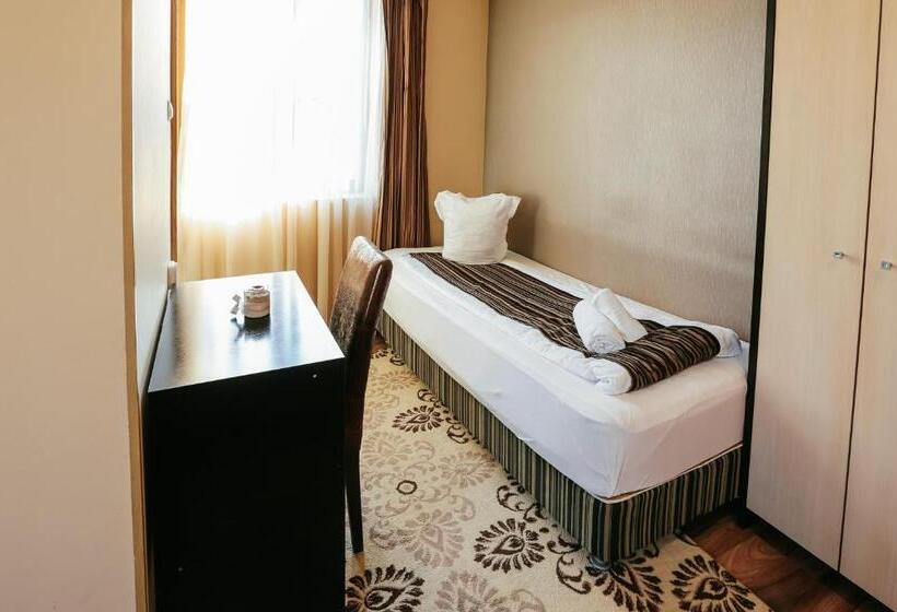 هتل Pensiunea Vidalis