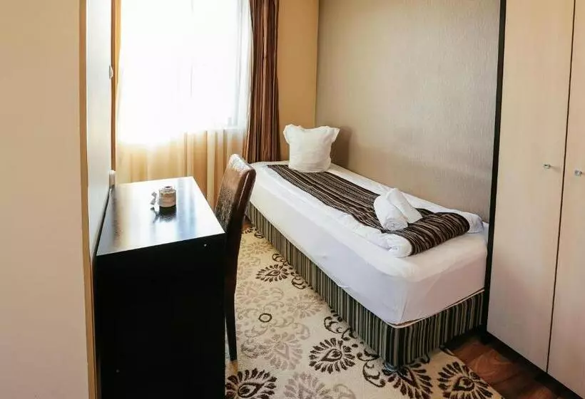 酒店 Pensiunea Vidalis