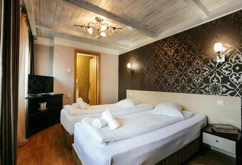 هتل Pensiunea Vidalis