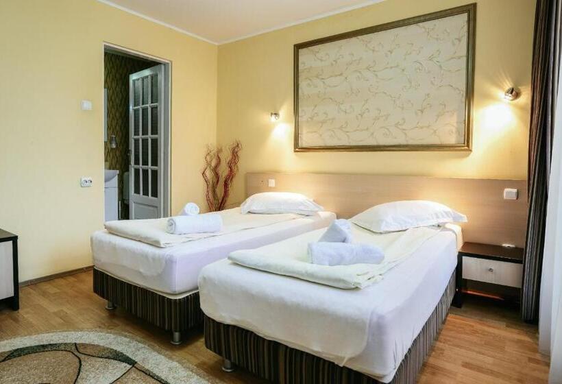 هتل Pensiunea Vidalis