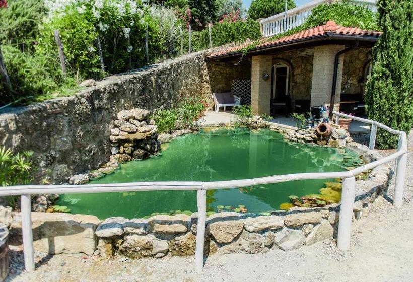 Residence Borgo Felciaione