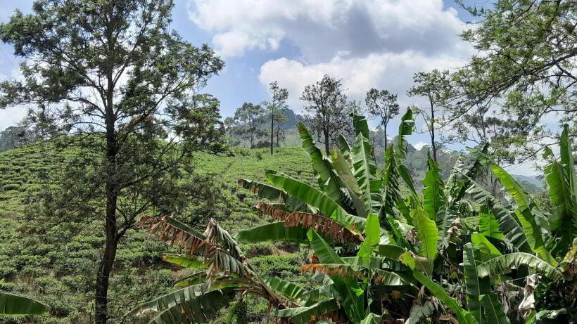 Pensão Whynot Guesthouse Ella