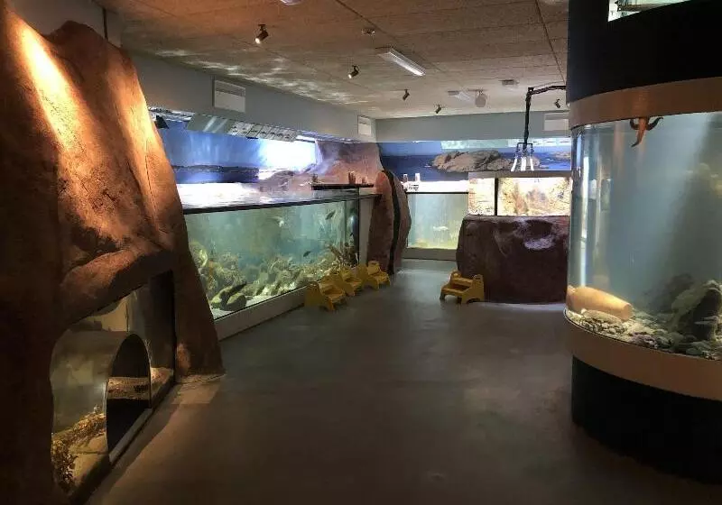 הוסטל Strandflickornas Havshotell Lysekil