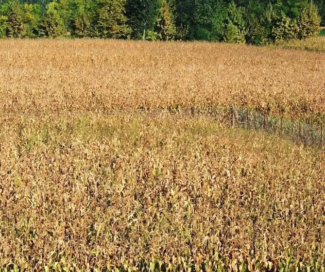 Casa A Colori Venezia