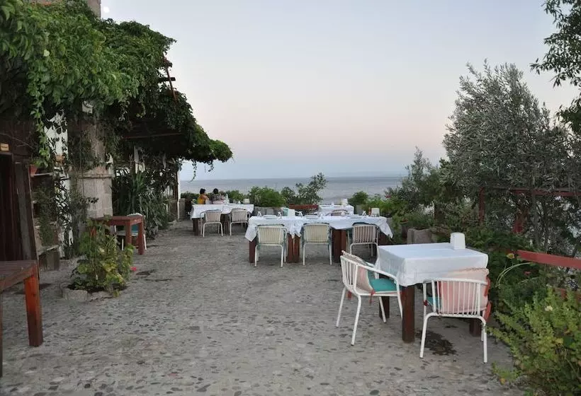 Отель Assos Terrace