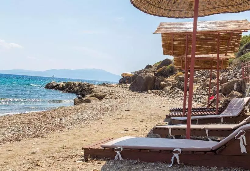 Отель Assos Terrace