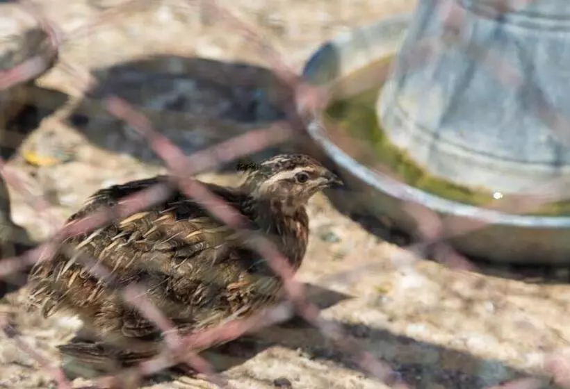 Отель Assos Terrace