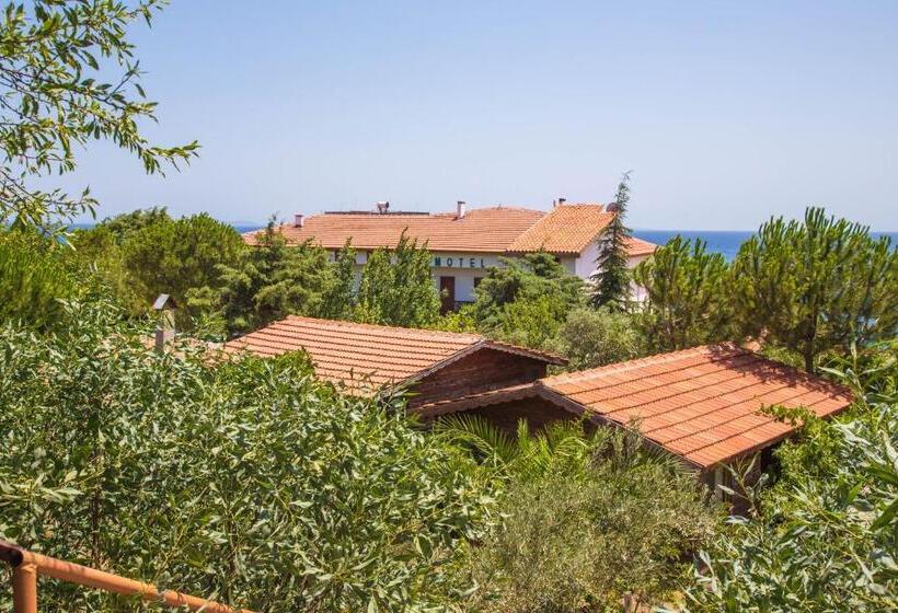 فندق Assos Terrace